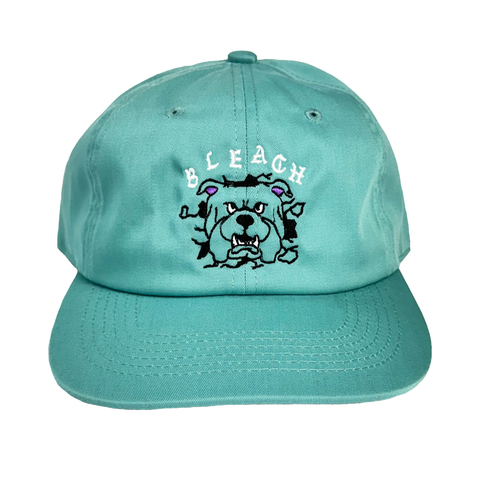 Big Dawg Six Panel Hat - Dark Mint