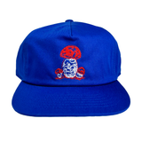 Fungi 5 Panel Hat - Royal Blue